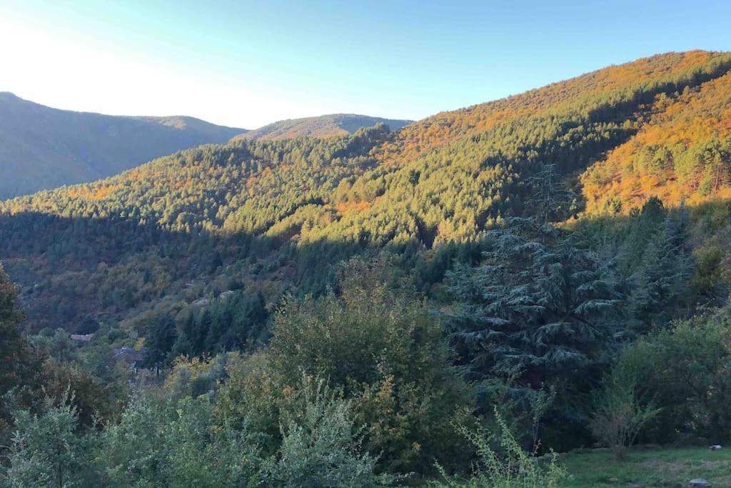Dompnac Maison Rurale Au Coeur Des Cevennes Ardechoises מראה חיצוני תמונה